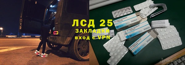стаф Арсеньев