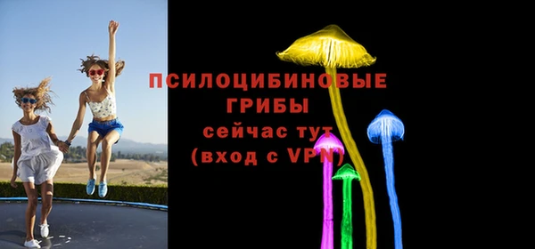 стаф Арсеньев