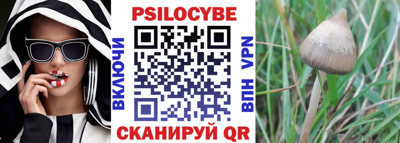 Псилоцибиновые грибы Magic Shrooms  Луга 